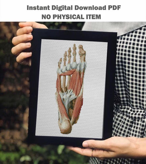 Anatomical Foot Cross Stitch Pattern PDF, Human Foot Muscles Embroidery Chart, Medical Anatomy Art, Gothic Needlepoint Design, Instant - NuttyHappyHobby