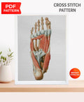 Anatomical Foot Cross Stitch Pattern PDF, Human Foot Muscles Embroidery Chart, Medical Anatomy Art, Gothic Needlepoint Design, Instant - NuttyHappyHobby