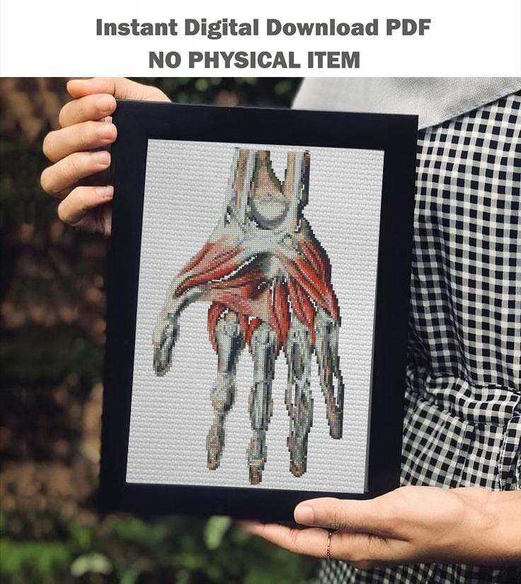 Anatomical Hand Cross Stitch Pattern PDF, Human Hand Muscles Embroidery Chart, Medical Anatomy Art, Gothic Needlepoint, Instant Download - NuttyHappyHobby