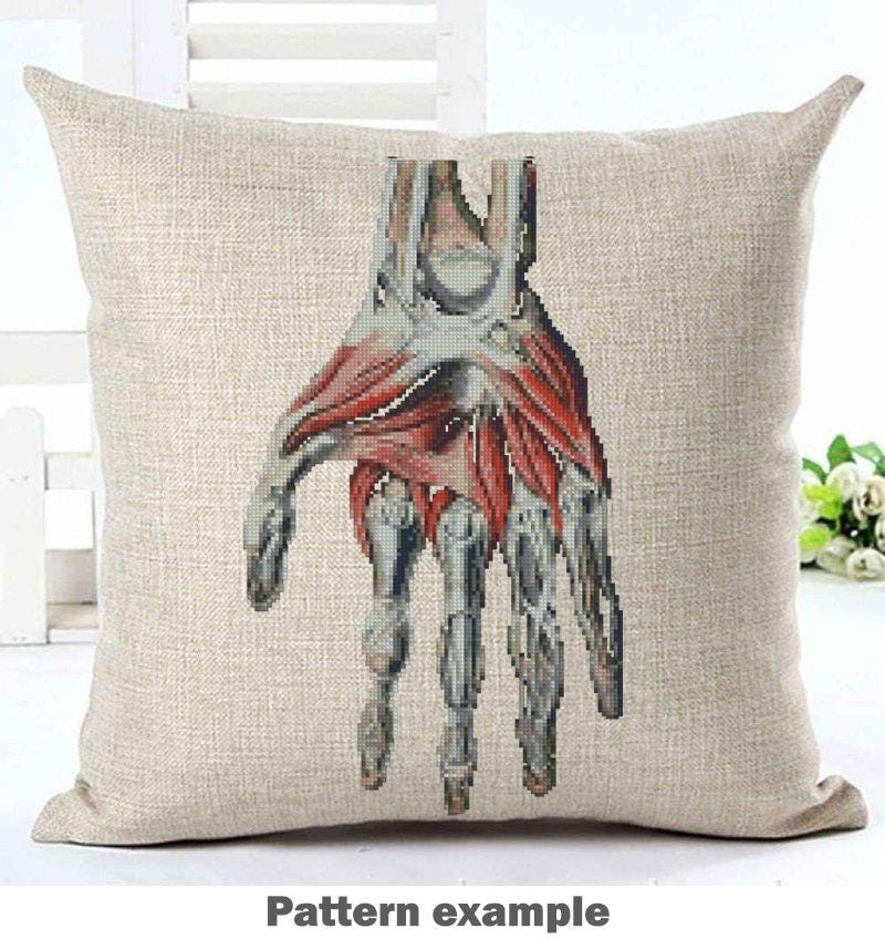 Anatomical Hand Cross Stitch Pattern PDF, Human Hand Muscles Embroidery Chart, Medical Anatomy Art, Gothic Needlepoint, Instant Download - NuttyHappyHobby