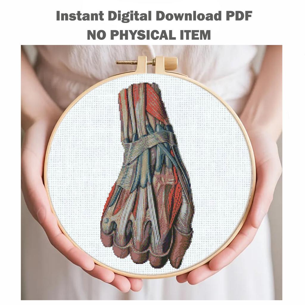 Anatomical Hand Cross Stitch Pattern PDF, Human Hand Muscles Embroidery Chart, Medical Anatomy Art, Gothic Needlepoint, Instant Download - NuttyHappyHobby