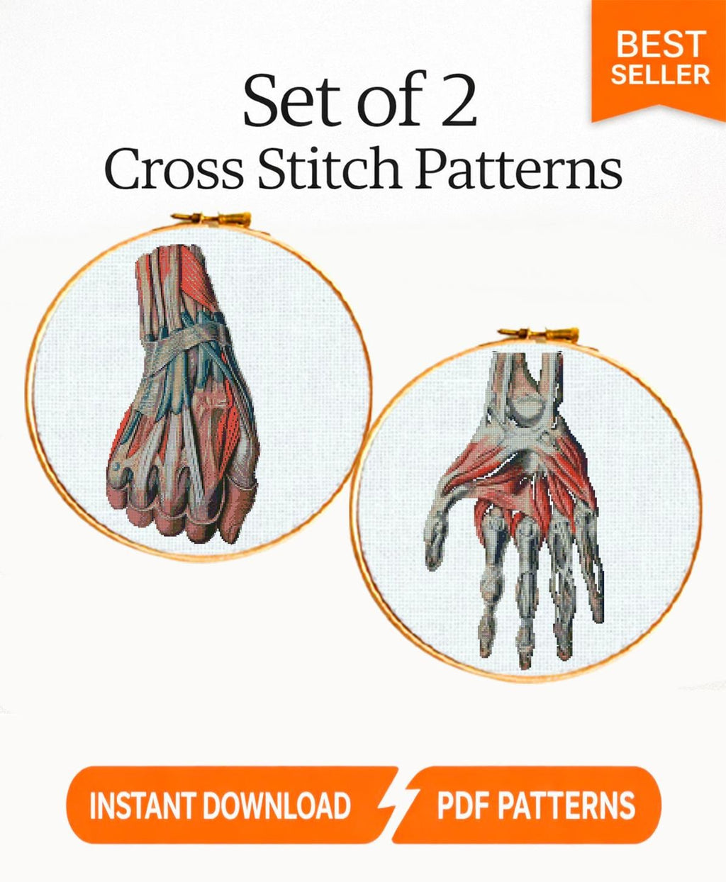 Anatomical Hand Cross Stitch Pattern PDF, Human Hand Muscles Embroidery Chart, Medical Anatomy Art, Gothic Needlepoint, Instant Download - NuttyHappyHobby
