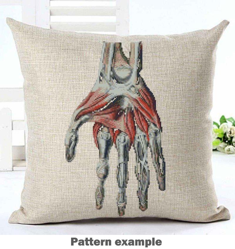Anatomical Hand Cross Stitch Pattern PDF, Human Palm Muscles and Bones Embroidery Chart, Vintage Medical Illustration Art, Doctor Gift - NuttyHappyHobby