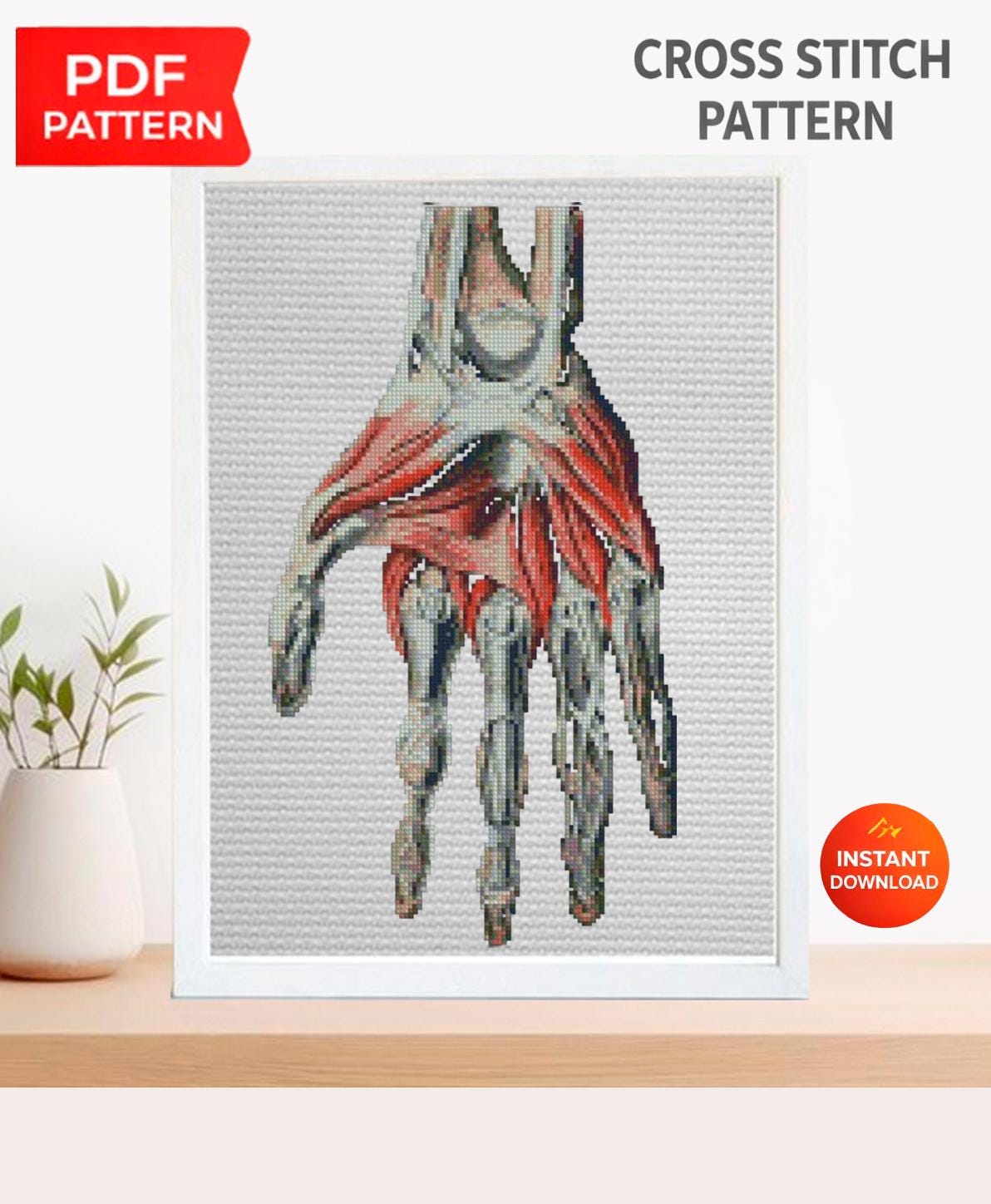 Anatomical Hand Cross Stitch Pattern PDF, Human Palm Muscles and Bones Embroidery Chart, Vintage Medical Illustration Art, Doctor Gift - NuttyHappyHobby