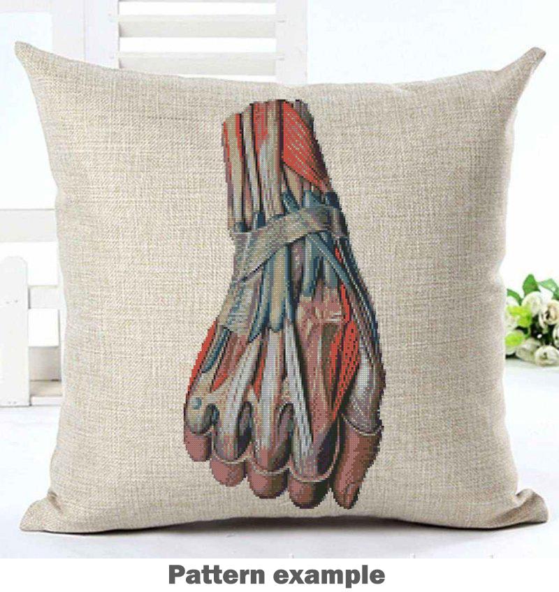Anatomical Hand Muscles Cross Stitch Pattern PDF, Vintage Medical Illustration Embroidery Chart, Human Arm Anatomy Art, Doctor Gift,Download - NuttyHappyHobby