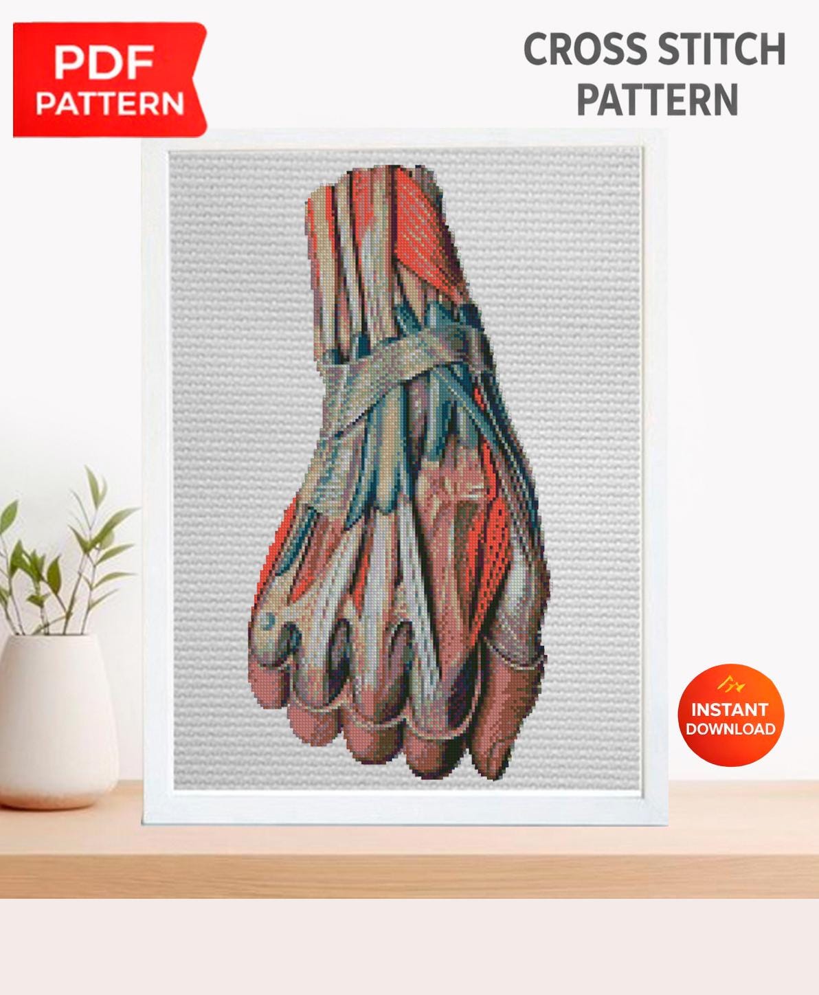 Anatomical Hand Muscles Cross Stitch Pattern PDF, Vintage Medical Illustration Embroidery Chart, Human Arm Anatomy Art, Doctor Gift,Download - NuttyHappyHobby