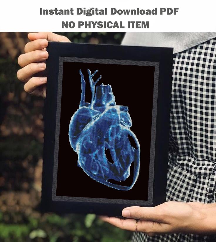 Anatomical Heart Cross Stitch Pattern Bundle, Heart Anatomy PDF, X Ray Heart Embroidery, Gothic Medical Cross Stitch Set - NuttyHappyHobby
