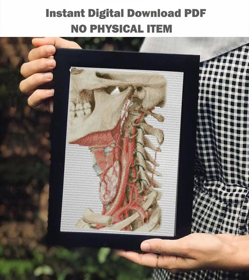 Anatomical Skull Cross Stitch Pattern PDF, Human Neck Anatomy Embroidery Chart, Gothic Medical Art, Vintage Anatomy Needlepoint, Instant - NuttyHappyHobby