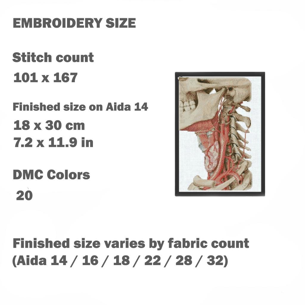 Anatomical Skull Cross Stitch Pattern PDF, Human Neck Anatomy Embroidery Chart, Gothic Medical Art, Vintage Anatomy Needlepoint, Instant - NuttyHappyHobby