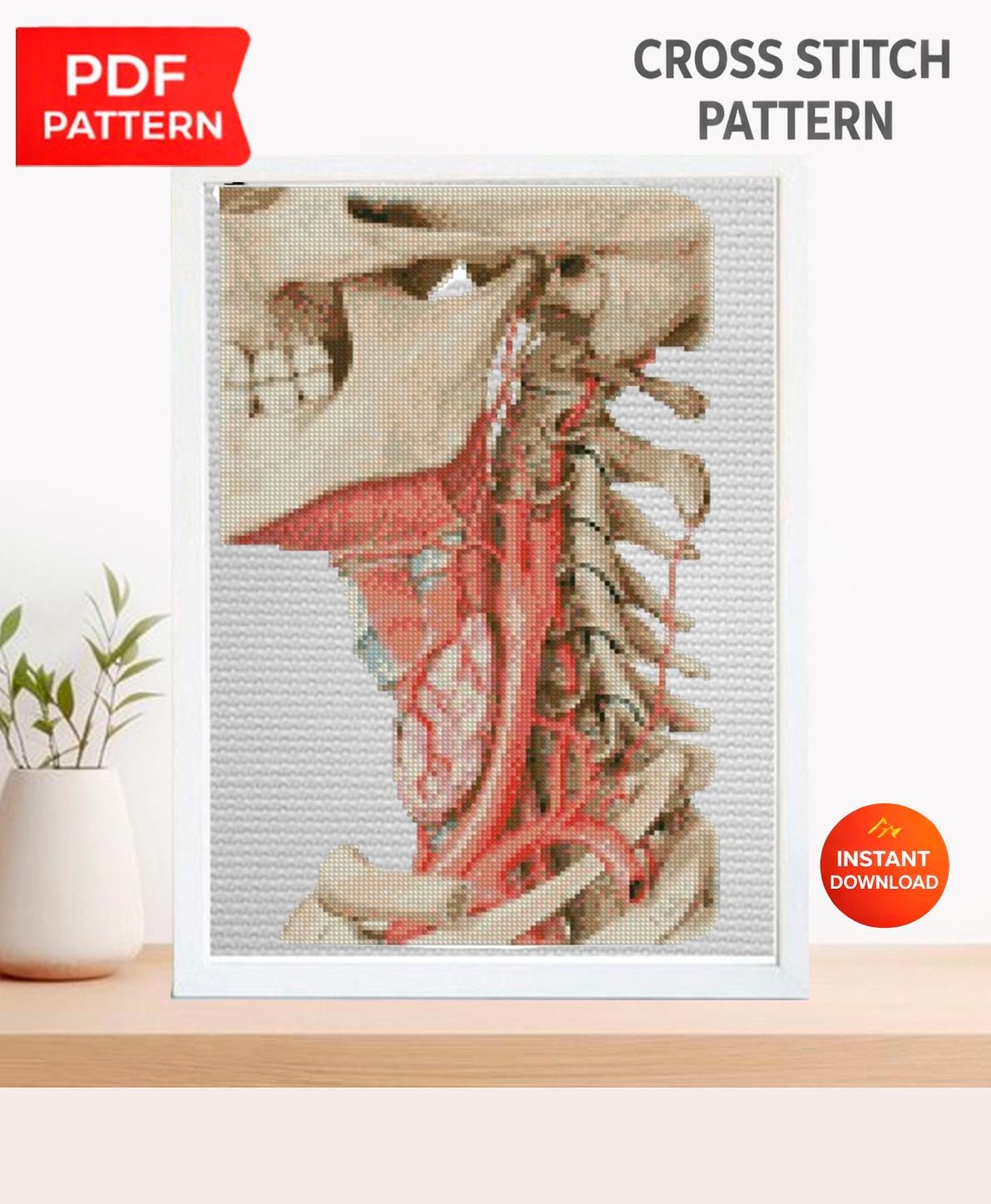 Anatomical Skull Cross Stitch Pattern PDF, Human Neck Anatomy Embroidery Chart, Gothic Medical Art, Vintage Anatomy Needlepoint, Instant - NuttyHappyHobby