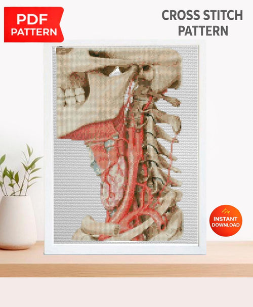 Anatomical Skull Cross Stitch Pattern PDF, Human Neck Anatomy Embroidery Chart, Gothic Medical Art, Vintage Anatomy Needlepoint, Instant - NuttyHappyHobby