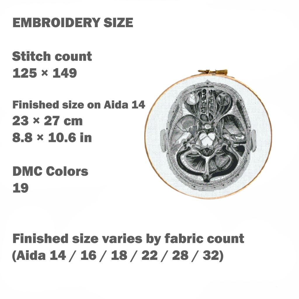 Anatomy Cross Stitch Pattern Bundle PDF, Brain Anatomy Embroidery Set, Gothic X Ray Medical Cross Stitch, Skull Neuroscience Art - NuttyHappyHobby