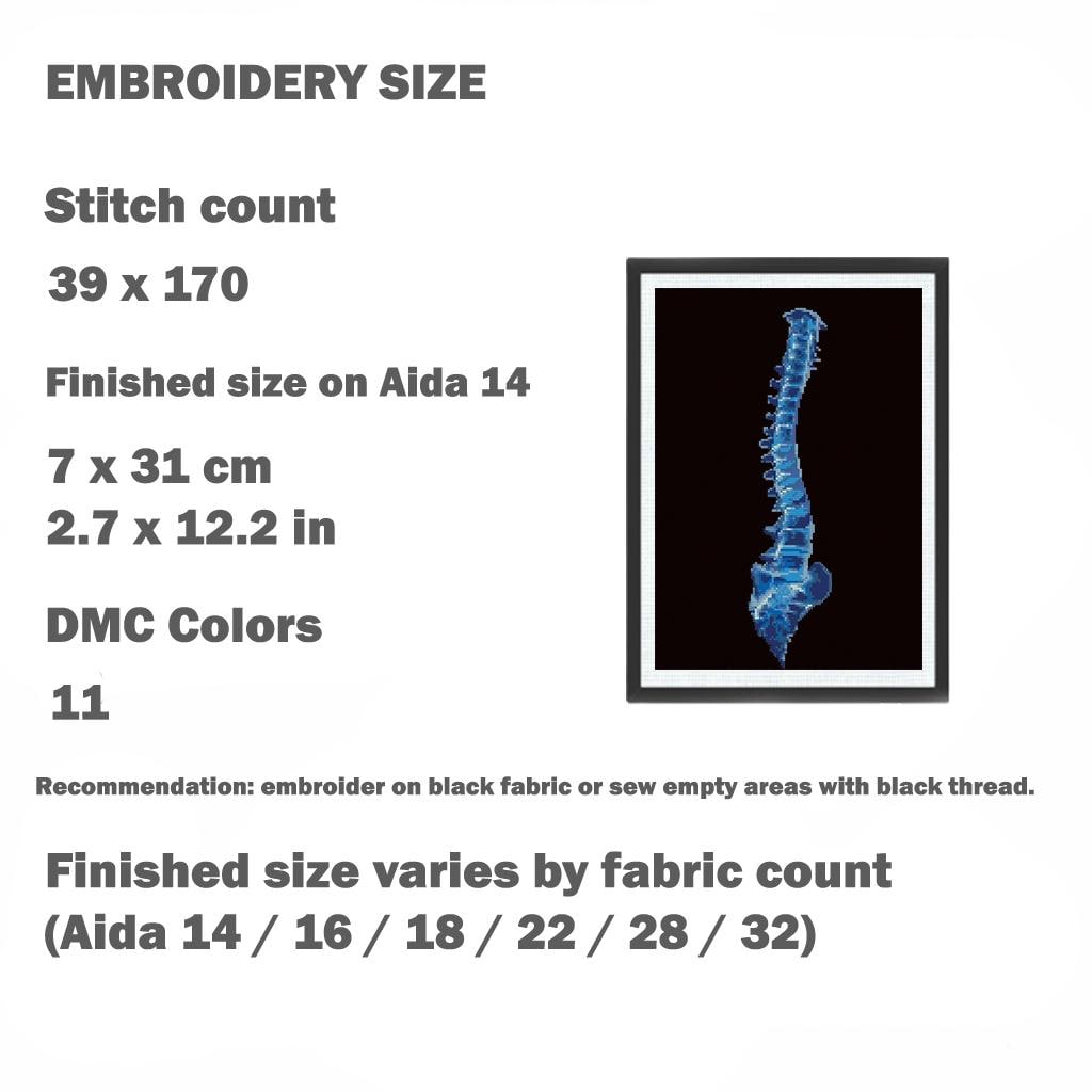 Anatomy Cross Stitch Pattern Bundle PDF, X Ray Embroidery Set of 6, Gothic Medical Anatomy Decor, Brain Skull Spine Heart Lungs Rib Cage - NuttyHappyHobby