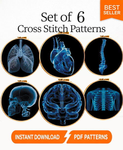 Anatomy Cross Stitch Pattern Bundle PDF, X Ray Embroidery Set of 6, Gothic Medical Anatomy Decor, Brain Skull Spine Heart Lungs Rib Cage - NuttyHappyHobby