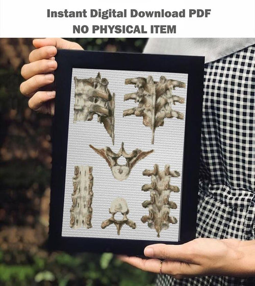 Anatomy Cross Stitch Patterns PDF Bundle, Gothic Skeleton Embroidery Set, Dark Academia Counted Cross Stitch Download, Embroidery Set of 6 - NuttyHappyHobby