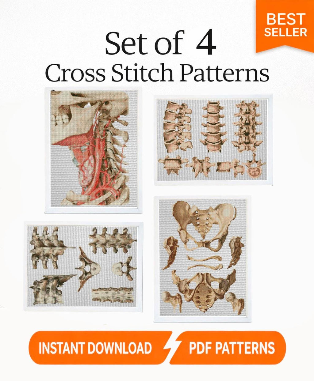 Anatomy Cross Stitch Patterns PDF Bundle, Gothic Skeleton Embroidery Set, Dark Academia Counted Cross Stitch Download, Embroidery Set of 6 - NuttyHappyHobby