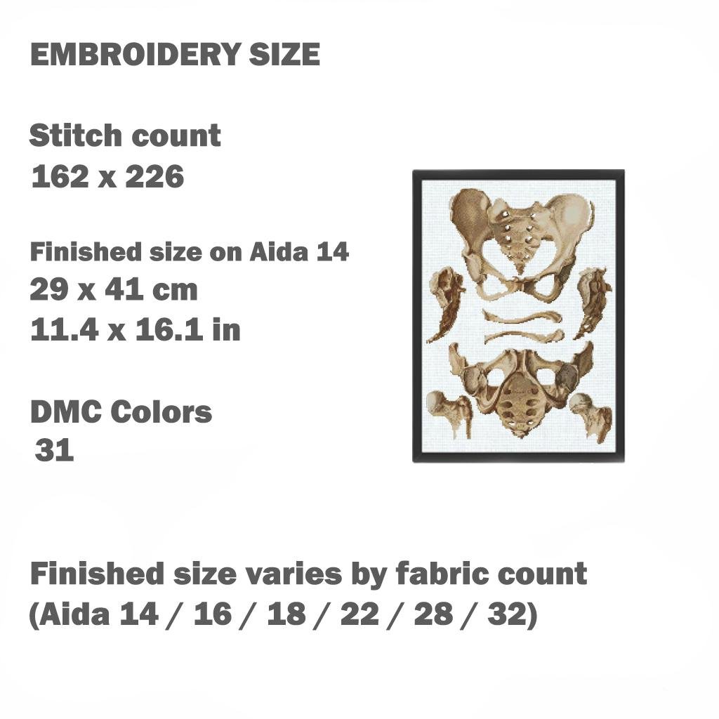 Anatomy Cross Stitch Patterns PDF Bundle, Vintage Medical Embroidery Set, Gothic Skeleton Counted Cross Stitch Charts, Embroidery Medical - NuttyHappyHobby