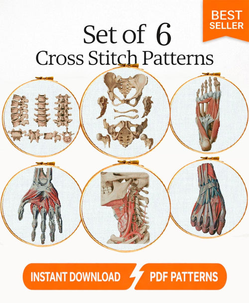 Anatomy Cross Stitch Patterns PDF Bundle, Vintage Medical Embroidery Set, Gothic Skeleton Counted Cross Stitch Charts, Embroidery Medical - NuttyHappyHobby