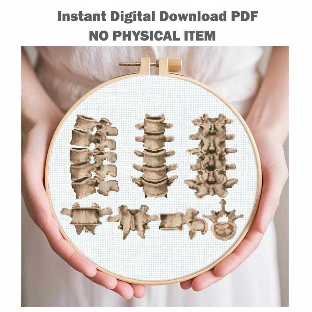Anatomy Cross Stitch Patterns PDF Bundle, Vintage Medical Embroidery Set, Gothic Skeleton Counted Cross Stitch Charts, Embroidery Medical - NuttyHappyHobby