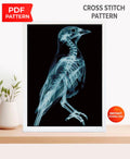 Bird Anatomy Cross Stitch Pattern PDF, Raven Skeleton Embroidery Chart, X - Ray Bird Art, Gothic Cross Stitch, Dark Academia Decor, Download - NuttyHappyHobby