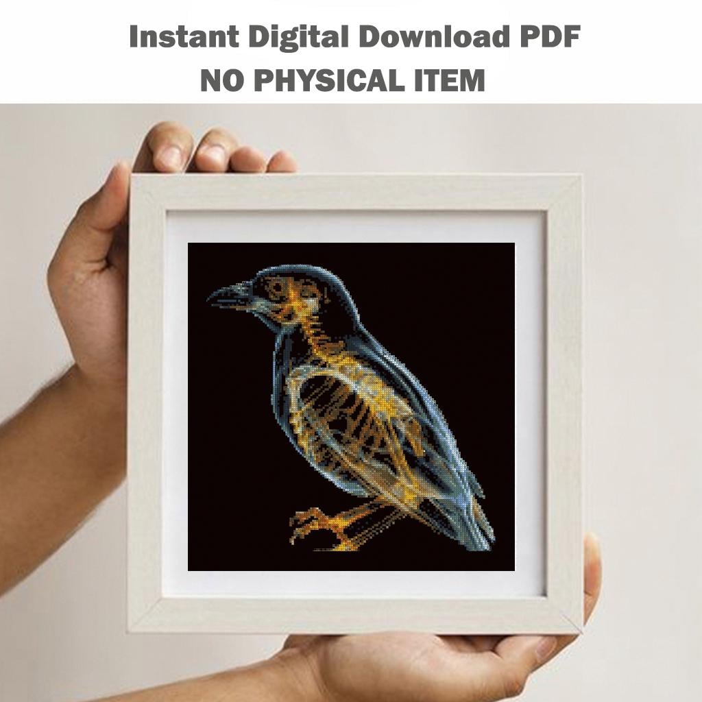 Bird X Ray Cross Stitch Pattern PDF, Avian Anatomy Embroidery Design, Wildlife Skeleton Wall Art Download, Pattern Keeper, digital - NuttyHappyHobby