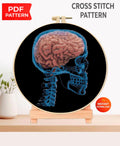 Brain X Ray Cross Stitch Pattern PDF, Human Skull Anatomy Embroidery Design, Neuroscience Medical Wall Art Download, Pattern Keeper - NuttyHappyHobby