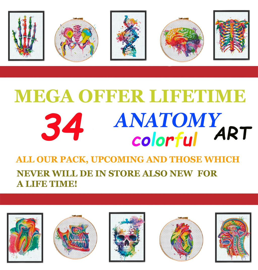 Colorful Anatomy Cross Stitch Patterns Bundle PDF | 34 Designs Lifetime Pack | Skeleton Skull Heart Brain Art | Instant Download Charts - NuttyHappyHobby