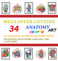 Colorful Anatomy Cross Stitch Patterns Bundle PDF | 34 Designs Lifetime Pack | Skeleton Skull Heart Brain Art | Instant Download Charts - NuttyHappyHobby
