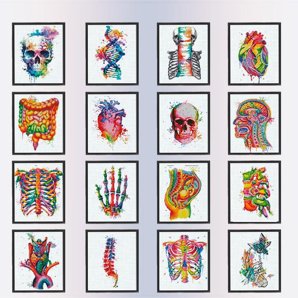 Colorful Anatomy Cross Stitch Patterns Bundle PDF | 34 Designs Lifetime Pack | Skeleton Skull Heart Brain Art | Instant Download Charts - NuttyHappyHobby