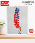 Colorful Spine Cross Stitch Pattern PDF, Anatomical Vertebrae Embroidery Chart, Human Back Anatomy Art, Medical Illustration Decor, Download - NuttyHappyHobby