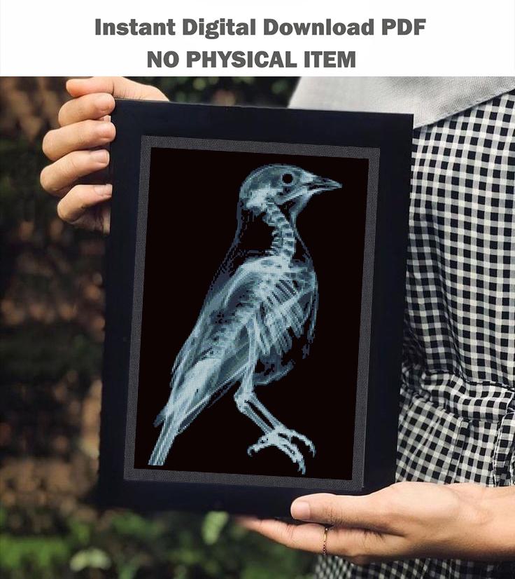 Forest Animal X Ray Cross Stitch Pattern Set PDF, Bird Frog Rabbit Rat Skeleton Anatomy Embroidery Design, Wildlife Science Wall Art Bundle - NuttyHappyHobby
