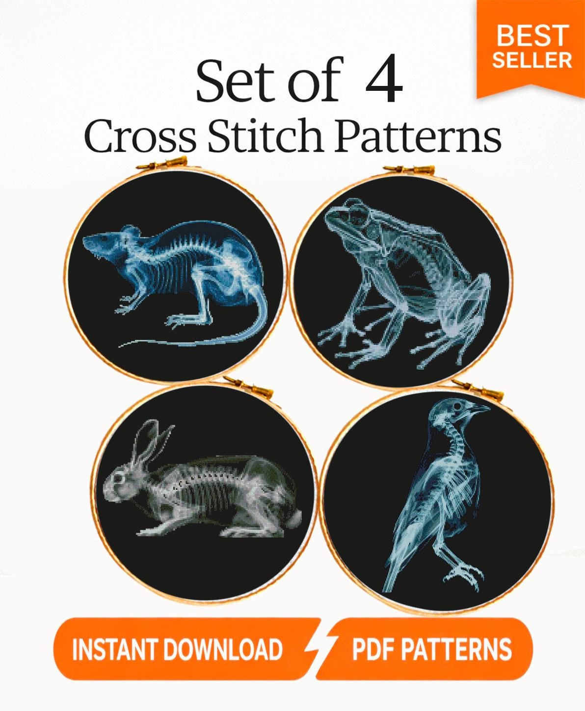 Forest Animal X Ray Cross Stitch Pattern Set PDF, Bird Frog Rabbit Rat Skeleton Anatomy Embroidery Design, Wildlife Science Wall Art Bundle - NuttyHappyHobby