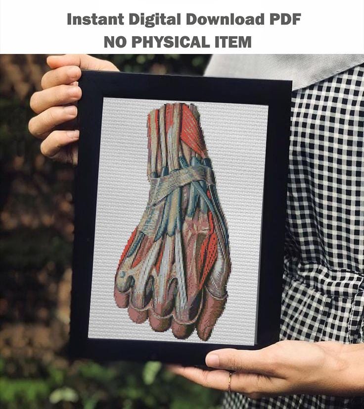 Hand Muscle Anatomy Cross Stitch Pattern PDF, Human Arm Muscular System Embroidery Design, Medical Student Wall Art Instant Download - NuttyHappyHobby