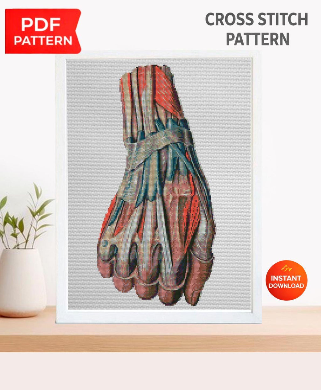 Hand Muscle Anatomy Cross Stitch Pattern PDF, Human Arm Muscular System Embroidery Design, Medical Student Wall Art Instant Download - NuttyHappyHobby