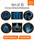 Human Anatomy X Ray Cross Stitch Bundle PDF, Skull Brain Heart Hand Rib Cage Embroidery Patterns, Medical Wall Art Set, Pattern Keeper - NuttyHappyHobby
