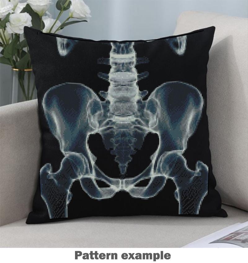 Human Anatomy X Ray Cross Stitch Bundle PDF, Skull Brain Heart Hand Rib Cage Embroidery Patterns, Medical Wall Art Set, Pattern Keeper - NuttyHappyHobby