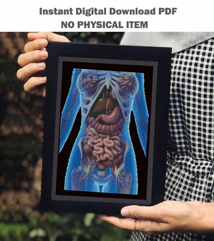 Human Internal Organs Cross Stitch Pattern PDF, Anatomical Torso Anatomy Embroidery Design, Medical Student Wall Art Instant Download - NuttyHappyHobby