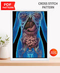 Human Internal Organs Cross Stitch Pattern PDF, Anatomical Torso Anatomy Embroidery Design, Medical Student Wall Art Instant Download - NuttyHappyHobby