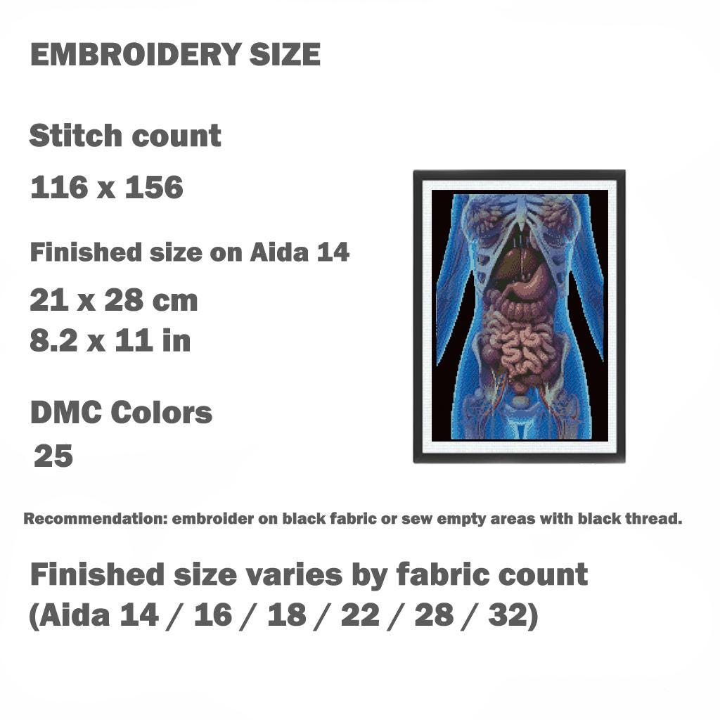 Human Internal Organs Cross Stitch Pattern PDF, Anatomical Torso Anatomy Embroidery Design, Medical Student Wall Art Instant Download - NuttyHappyHobby