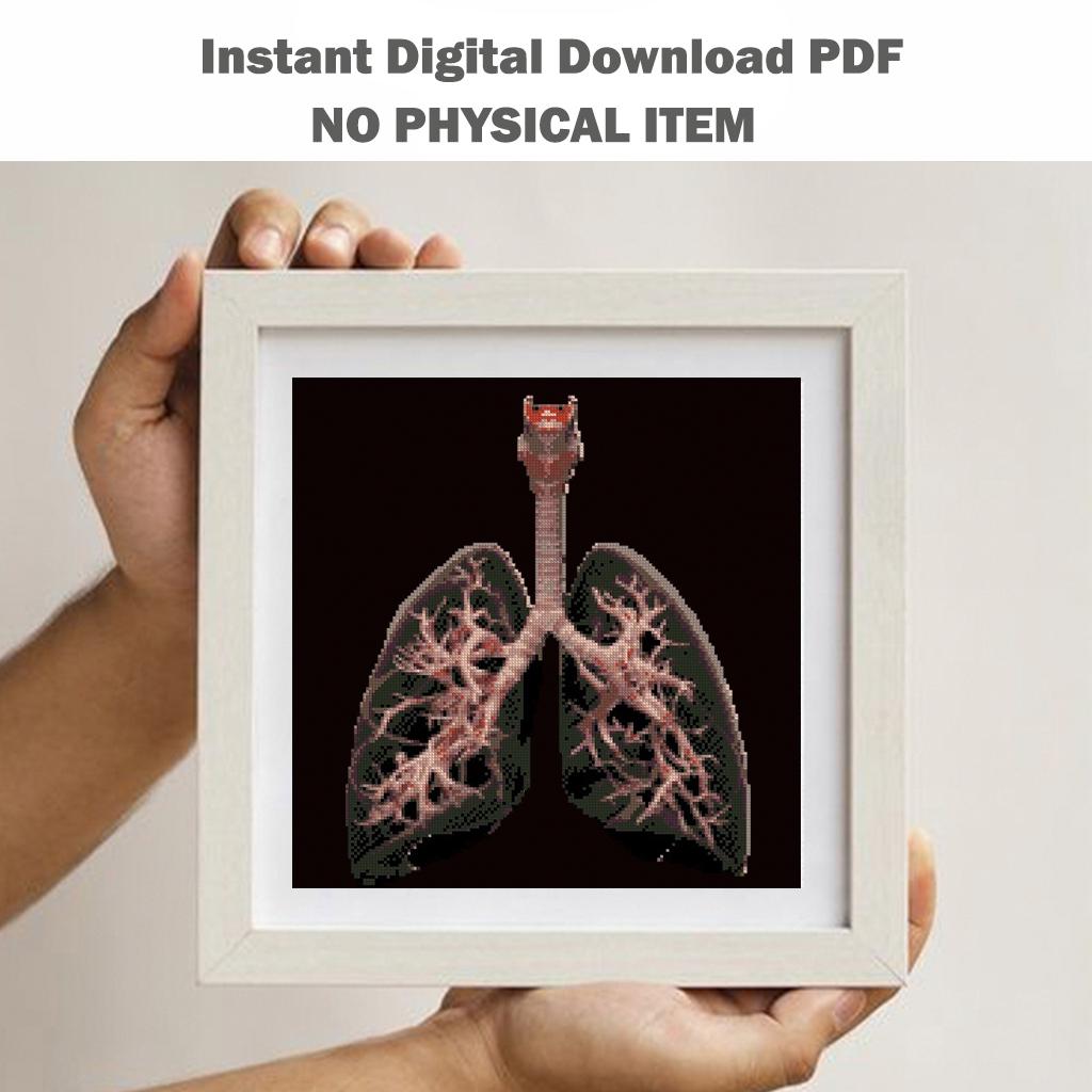 Human Lungs Cross Stitch Pattern PDF, Respiratory System Anatomy Embroidery Design, Medical Student Science Wall Art Instant Download - NuttyHappyHobby