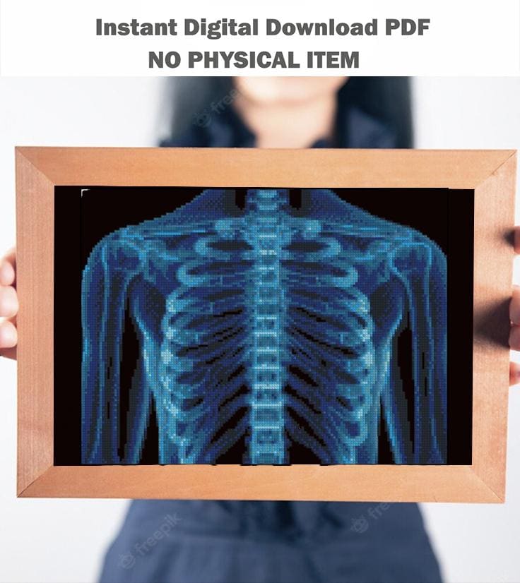 Human Rib Cage X Ray Cross Stitch Pattern PDF, Chest Anatomy Embroidery Design, Medical Skeleton Wall Art Download - NuttyHappyHobby