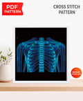 Human Rib Cage X Ray Cross Stitch Pattern PDF, Chest Anatomy Embroidery Design, Medical Skeleton Wall Art Download - NuttyHappyHobby
