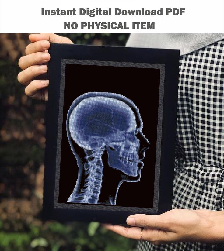 Human Skull X Ray Cross Stitch Pattern PDF, Anatomy Head Profile Embroidery Design, Medical Gothic Wall Art Download - NuttyHappyHobby