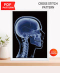 Human Skull X Ray Cross Stitch Pattern PDF, Anatomy Head Profile Embroidery Design, Medical Gothic Wall Art Download - NuttyHappyHobby