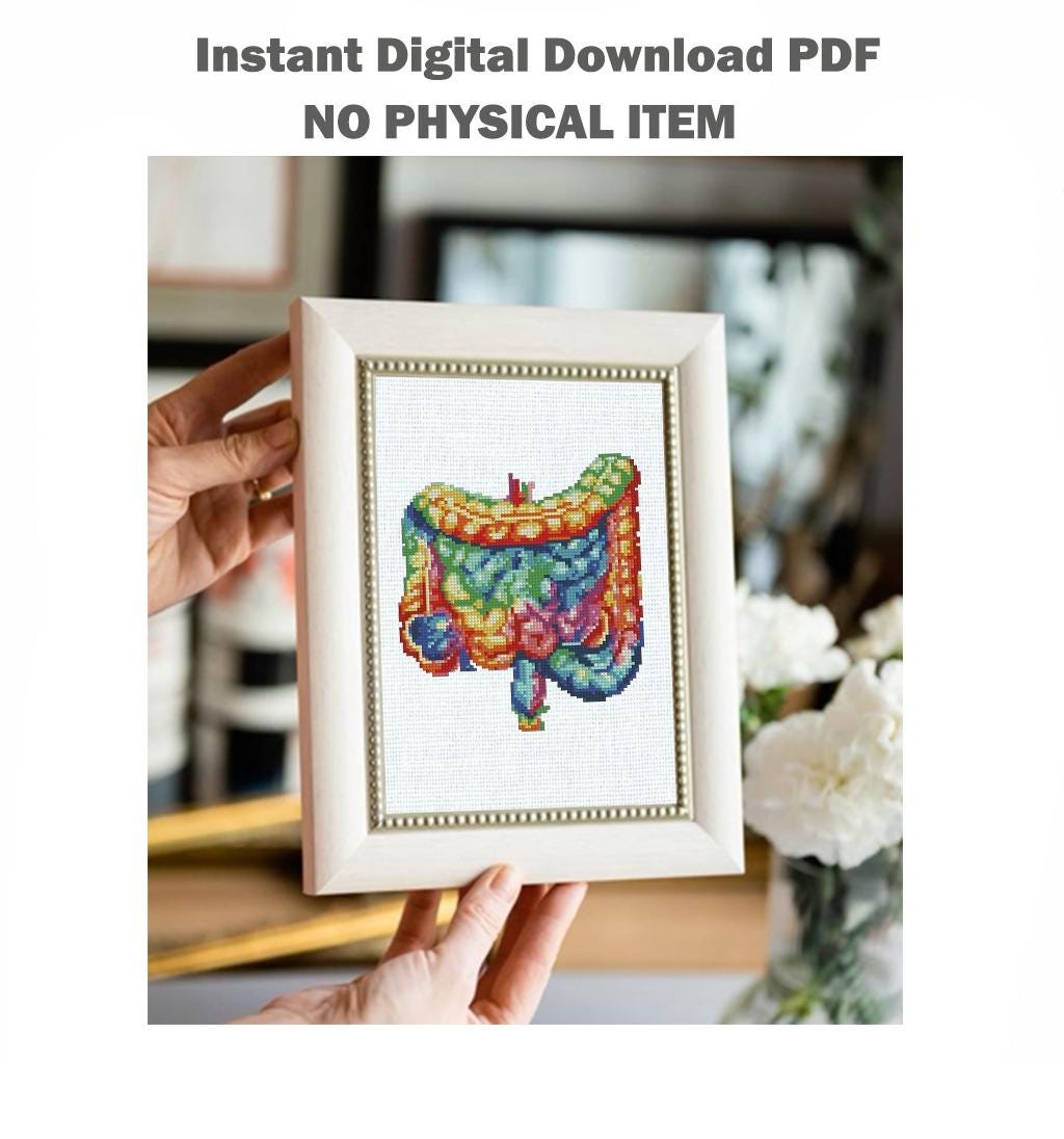 Intestine Cross Stitch Pattern PDF Anatomy Embroidery Design Human Organ Gut Medical Mini Small Modern Instant Download, Pattern Keeper - NuttyHappyHobby