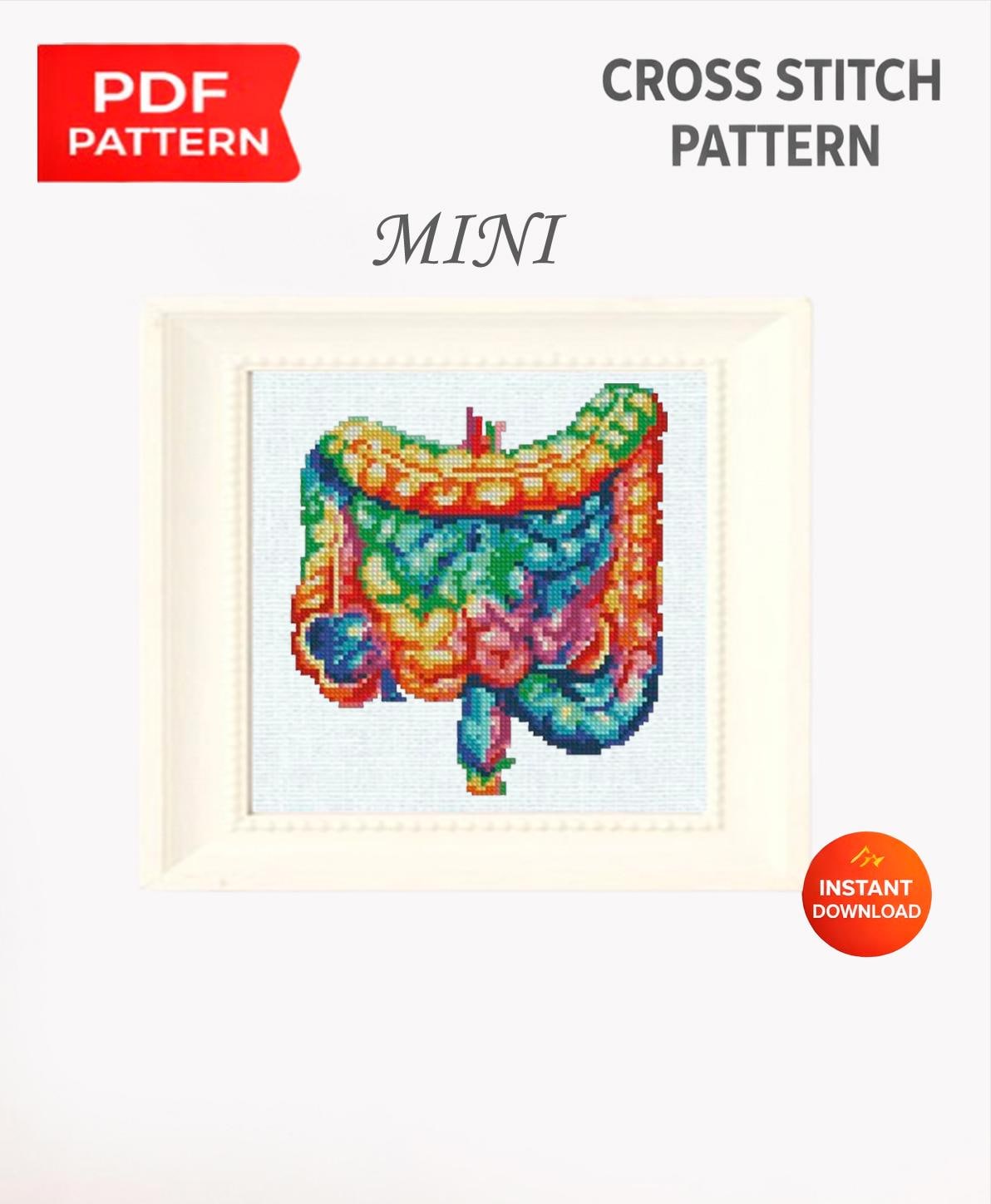 Intestine Cross Stitch Pattern PDF Anatomy Embroidery Design Human Organ Gut Medical Mini Small Modern Instant Download, Pattern Keeper - NuttyHappyHobby