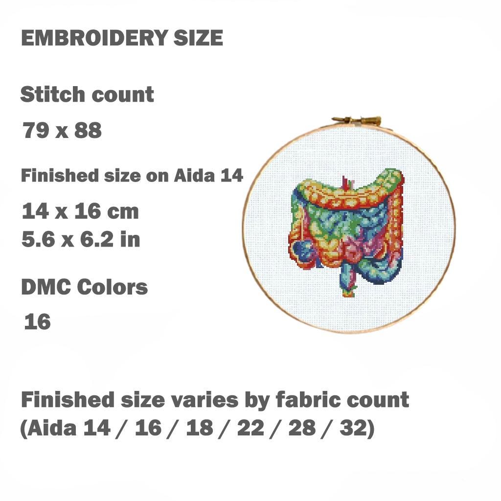 Intestine Cross Stitch Pattern PDF Anatomy Embroidery Design Human Organ Gut Medical Mini Small Modern Instant Download, Pattern Keeper - NuttyHappyHobby