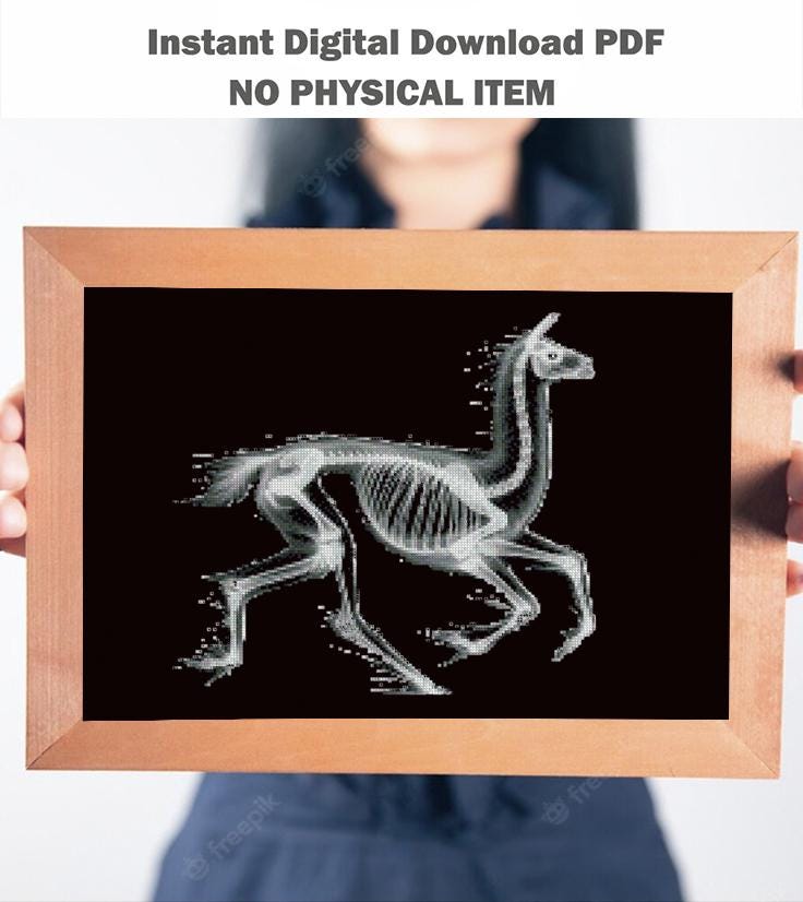 Llama Skeleton Cross Stitch Pattern PDF, X Ray Animal Anatomy Embroidery Design, Gothic Veterinary Wall Art Download - NuttyHappyHobby