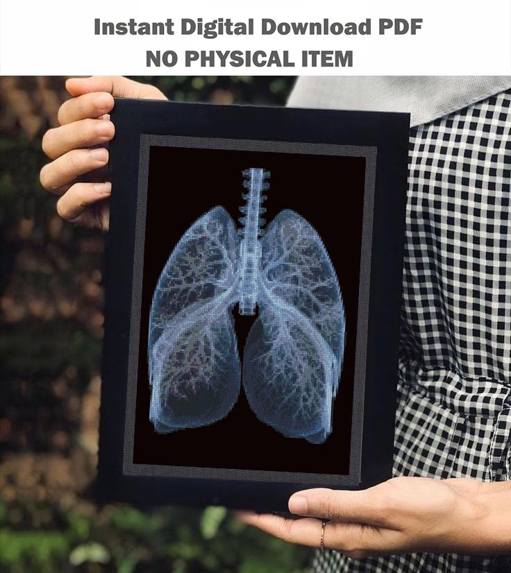 Lungs Cross Stitch Pattern PDF, Human Anatomy Embroidery, Medical Cross Stitch Pattern, Gothic Anatomy Art, Dark Academia Decor Download - NuttyHappyHobby