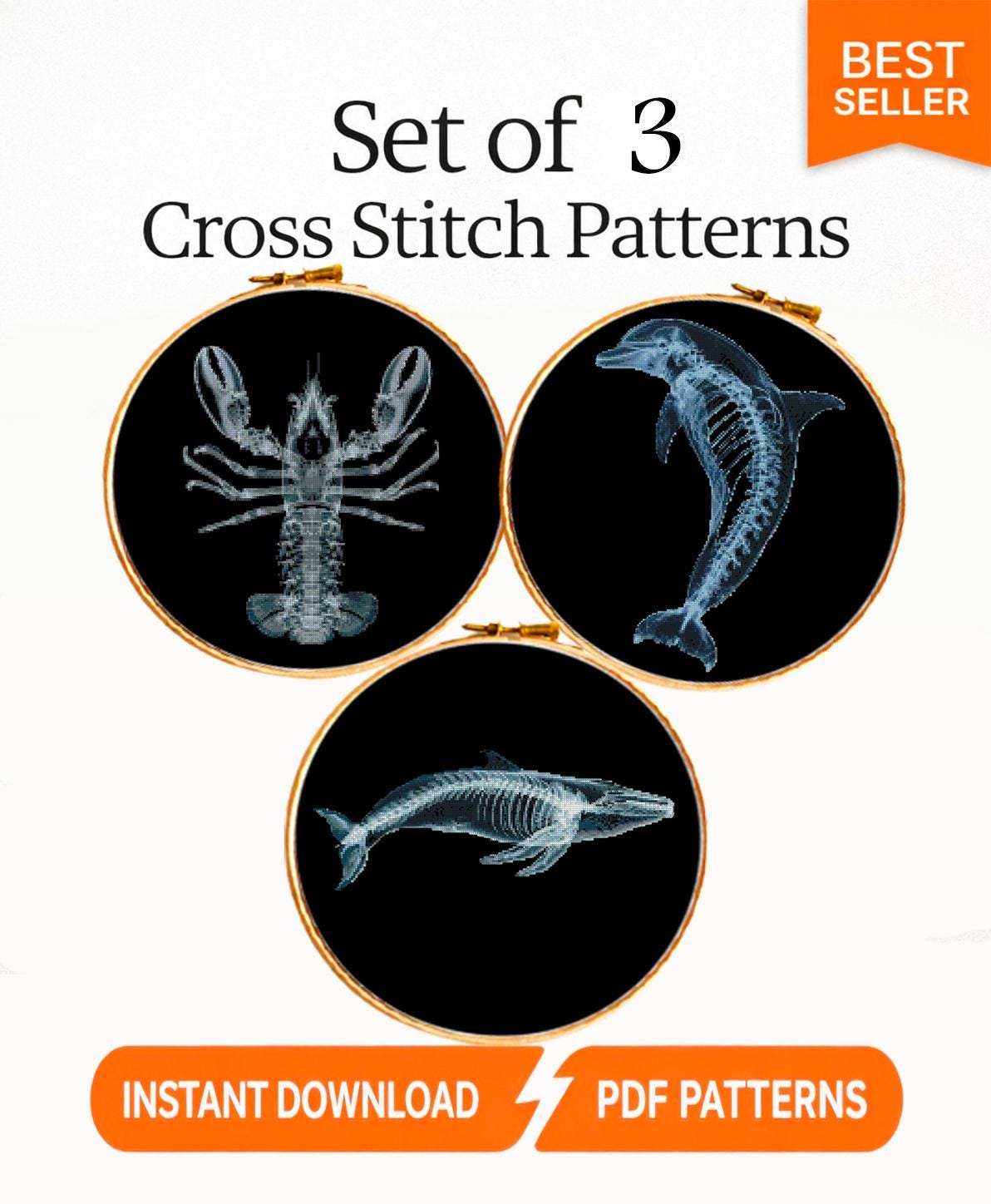 Marine Animal X Ray Cross Stitch Pattern Set PDF, Lobster Dolphin Whale Skeleton Anatomy Embroidery Design, Ocean Science Wall Art Bundle - NuttyHappyHobby